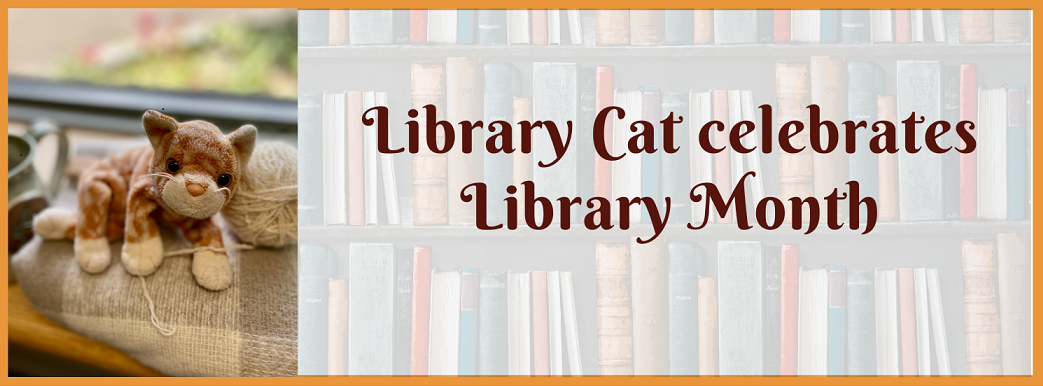 Library Cat relaxing with a ball of yarn by the window.