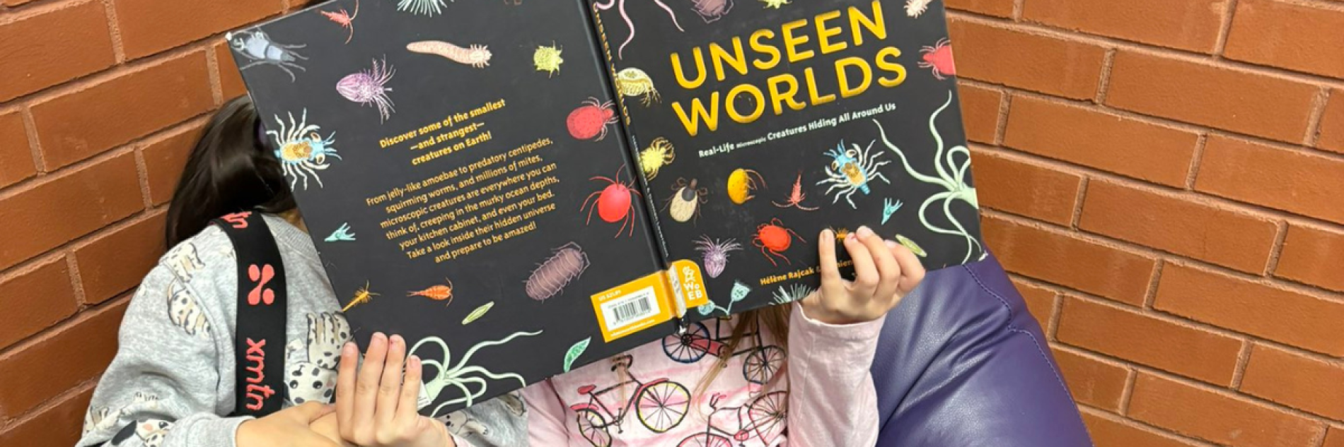 Two young readers curled up on a purple beanbag in front of a brick wall, sharing a colourful book titled ‘Unseen Worlds