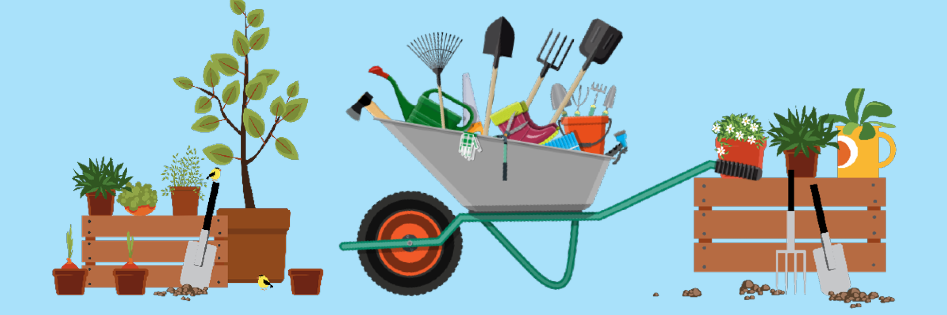 Plants and assorted gardening tools 