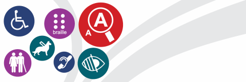 Accessibilty Icons